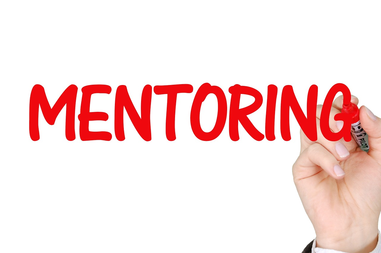 mentoring, business, success-2738524.jpg